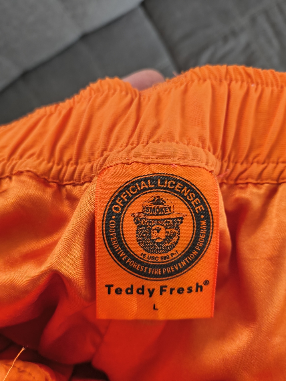Teddy Fresh Orange Smokey Bear Licensed ADULT Large Pants